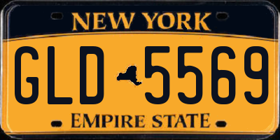 NY license plate GLD5569