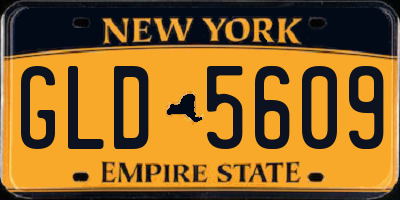 NY license plate GLD5609