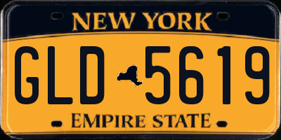 NY license plate GLD5619