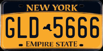 NY license plate GLD5666