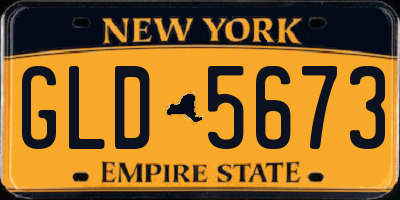 NY license plate GLD5673
