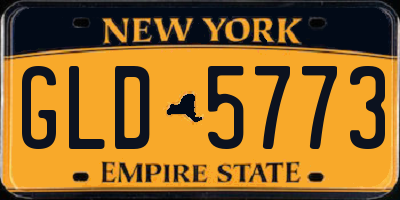 NY license plate GLD5773