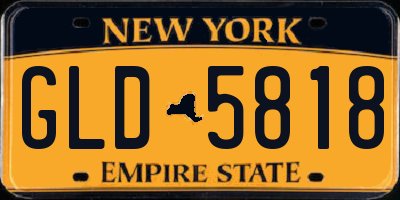 NY license plate GLD5818