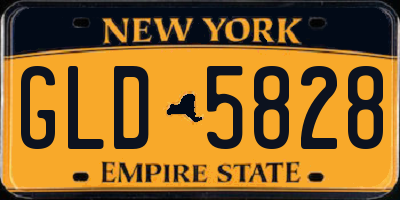 NY license plate GLD5828
