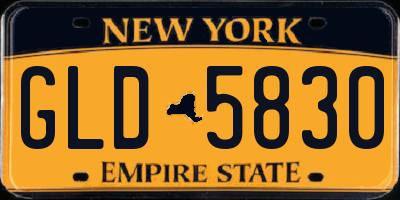 NY license plate GLD5830