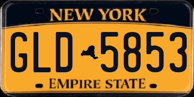 NY license plate GLD5853