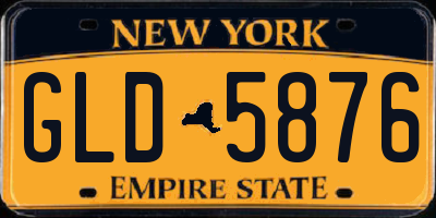 NY license plate GLD5876