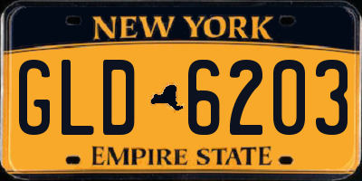 NY license plate GLD6203