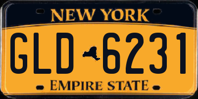 NY license plate GLD6231