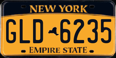 NY license plate GLD6235