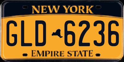NY license plate GLD6236