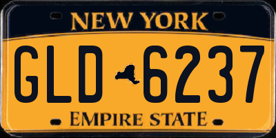 NY license plate GLD6237