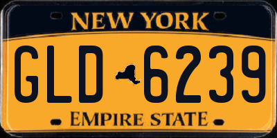 NY license plate GLD6239
