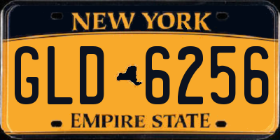NY license plate GLD6256