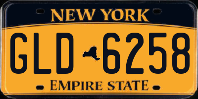 NY license plate GLD6258