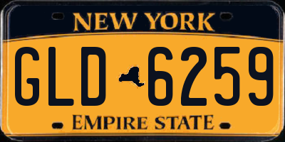 NY license plate GLD6259