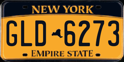 NY license plate GLD6273