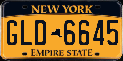 NY license plate GLD6645