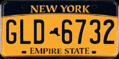 NY license plate GLD6732