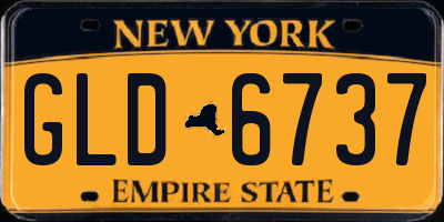 NY license plate GLD6737