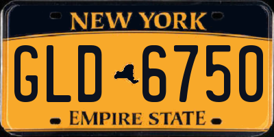 NY license plate GLD6750