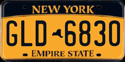 NY license plate GLD6830