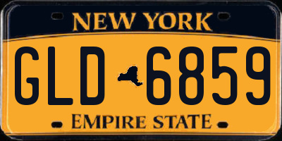 NY license plate GLD6859