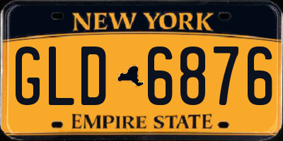 NY license plate GLD6876