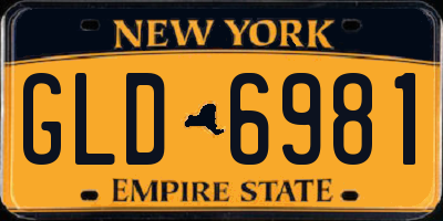 NY license plate GLD6981