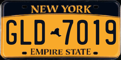NY license plate GLD7019