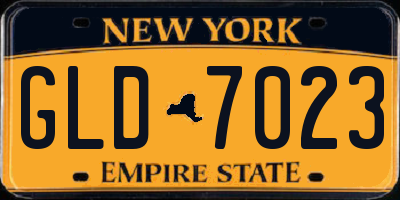 NY license plate GLD7023