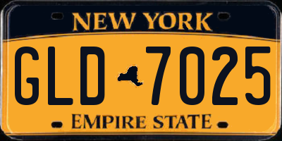 NY license plate GLD7025