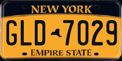 NY license plate GLD7029