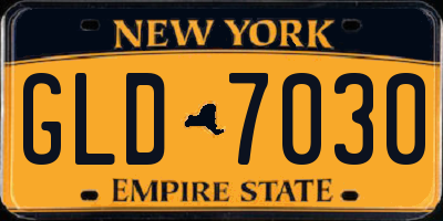 NY license plate GLD7030