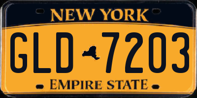 NY license plate GLD7203