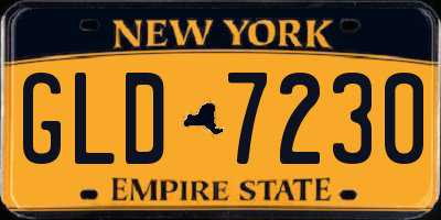 NY license plate GLD7230