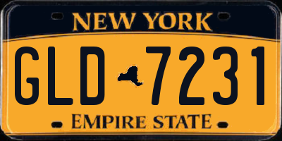 NY license plate GLD7231