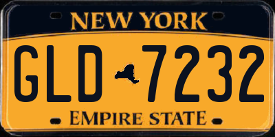 NY license plate GLD7232