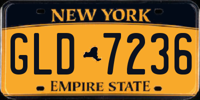 NY license plate GLD7236