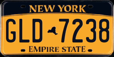NY license plate GLD7238