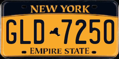 NY license plate GLD7250