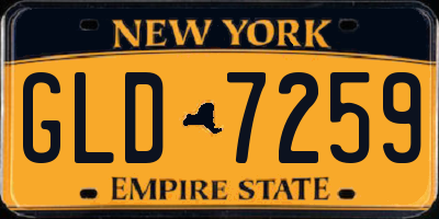 NY license plate GLD7259
