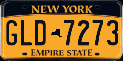 NY license plate GLD7273