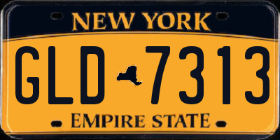 NY license plate GLD7313