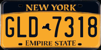 NY license plate GLD7318