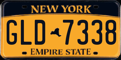 NY license plate GLD7338