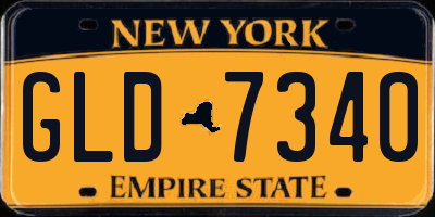 NY license plate GLD7340