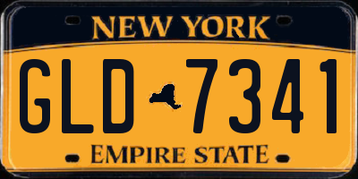 NY license plate GLD7341