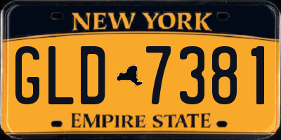 NY license plate GLD7381