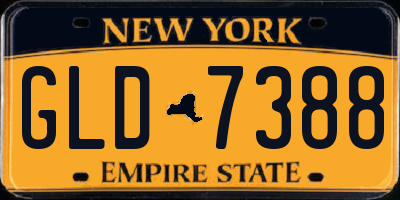 NY license plate GLD7388